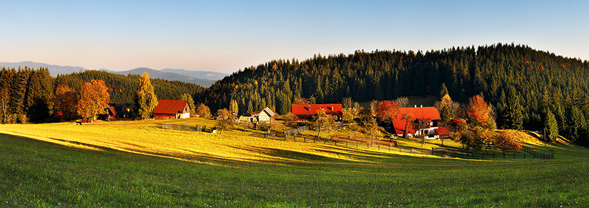 Osada Školeny