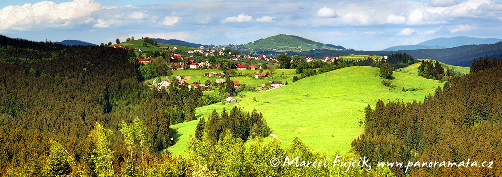 Hrčava