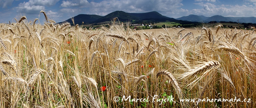 U Kozlovic