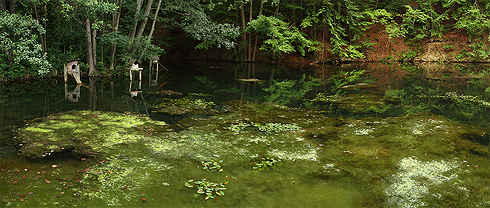 Valašská Senice - u Chladné studánky