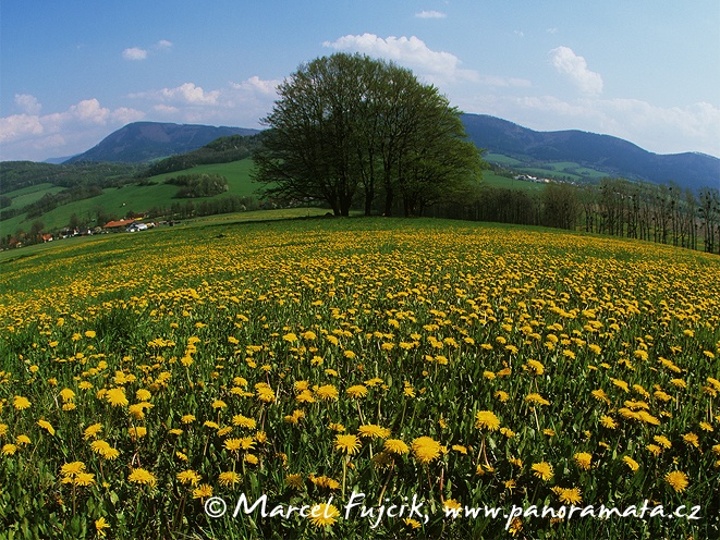 Ženklava